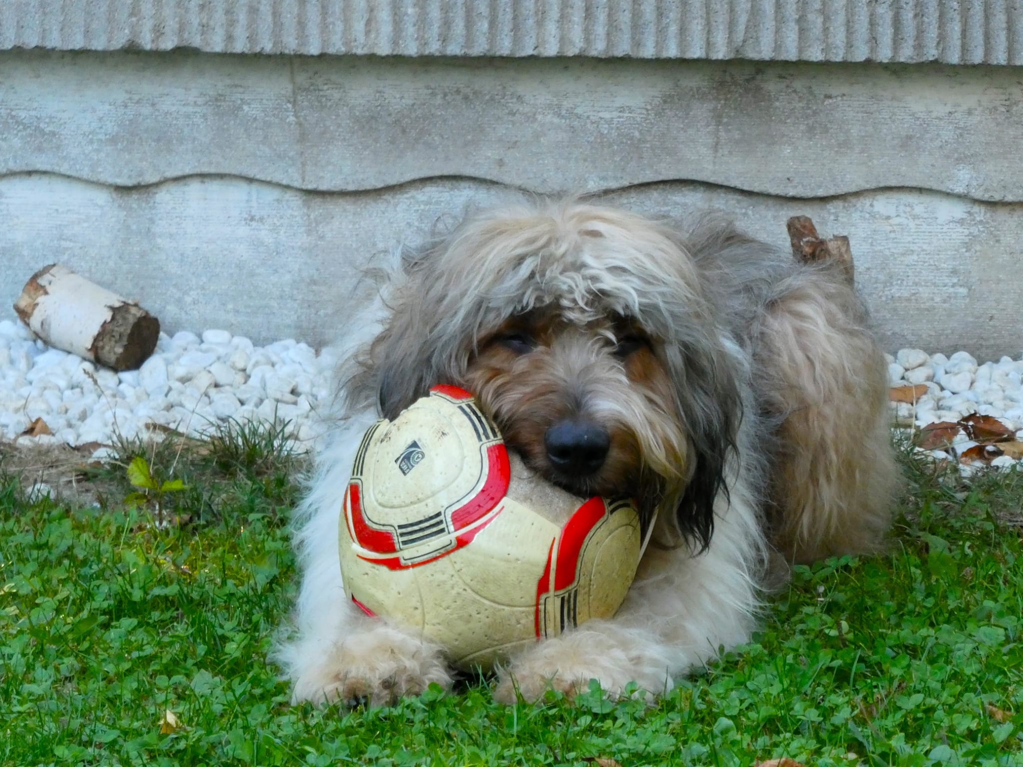 Wäller von der Straubenhalde